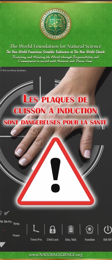 Couverture de la publication: Les Plaques De Cuisson À Induction Sont Dangereuses Pour La Santé